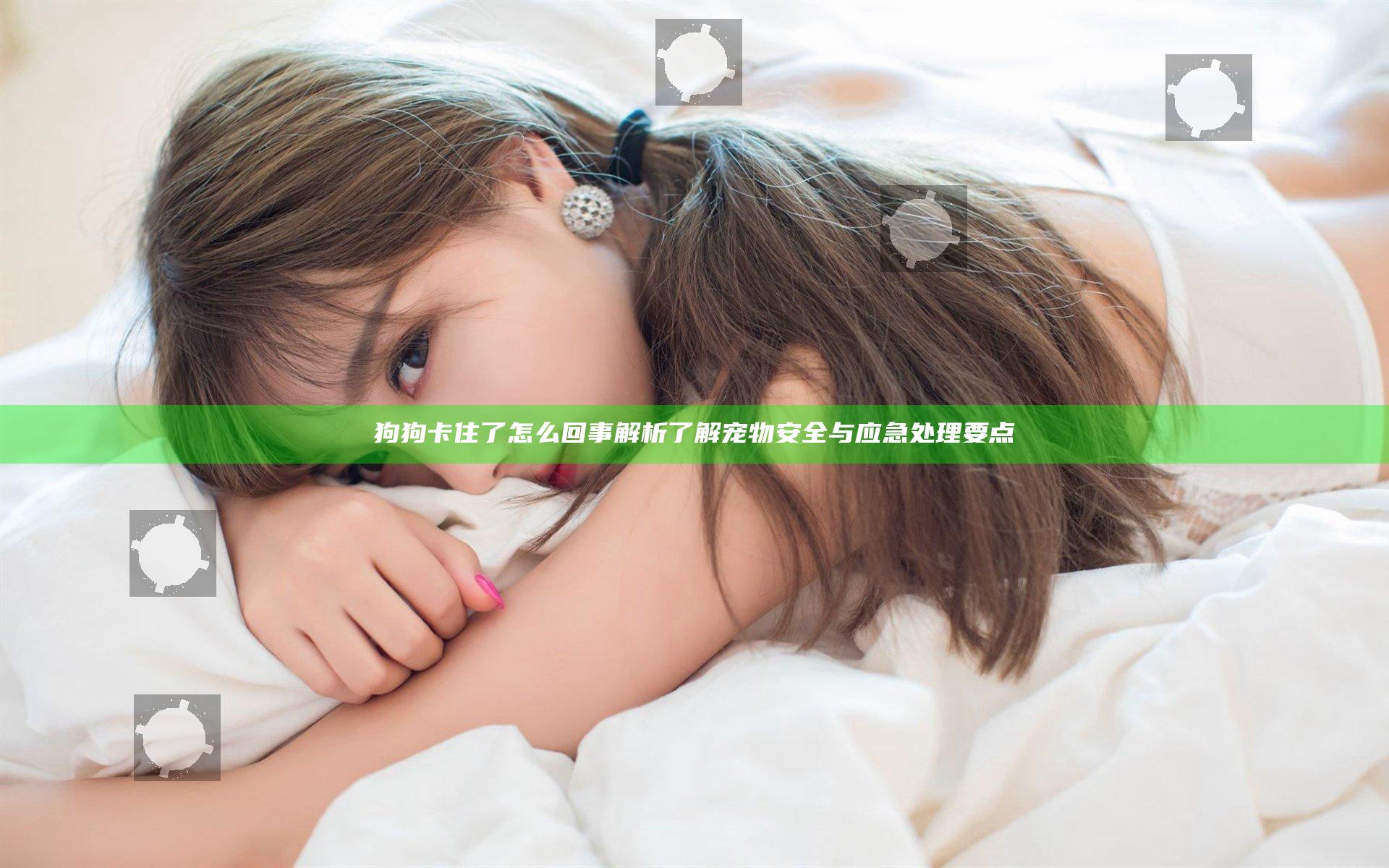 狗狗卡住了怎么回事解析 了解宠物安全与应急处理要点