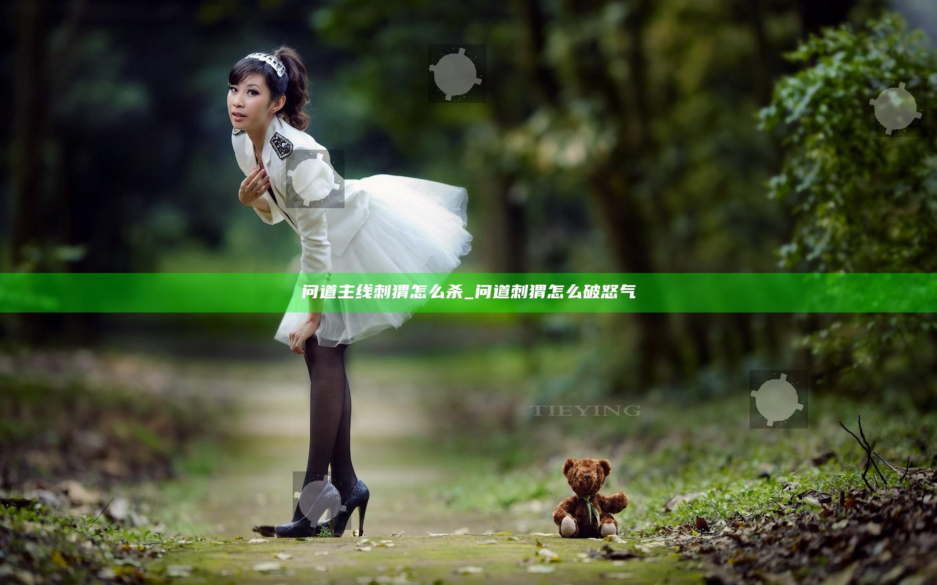 问道主线刺猬怎么杀_问道刺猬怎么破怒气