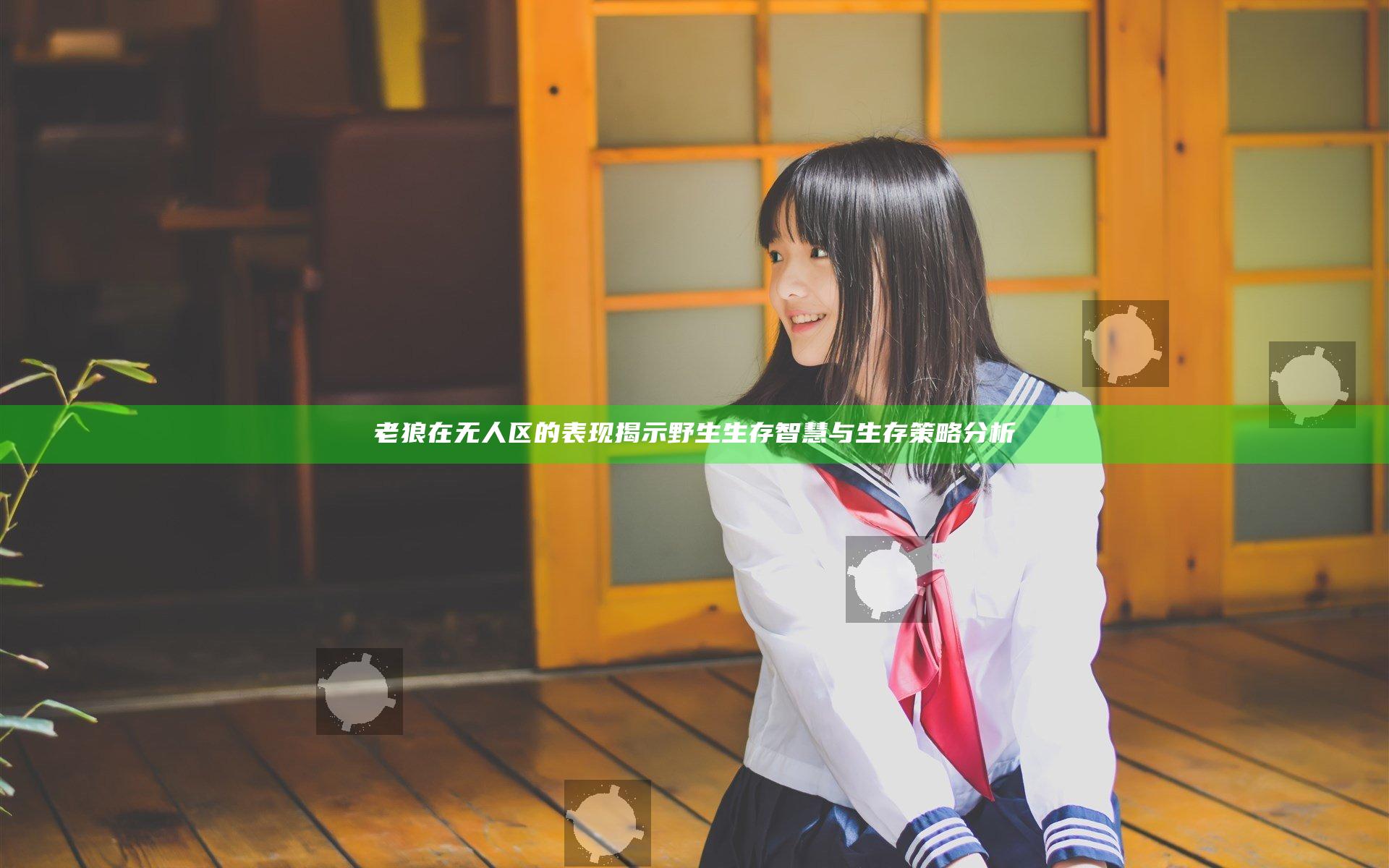 老狼在无人区的表现揭示野生生存智慧与生存策略分析