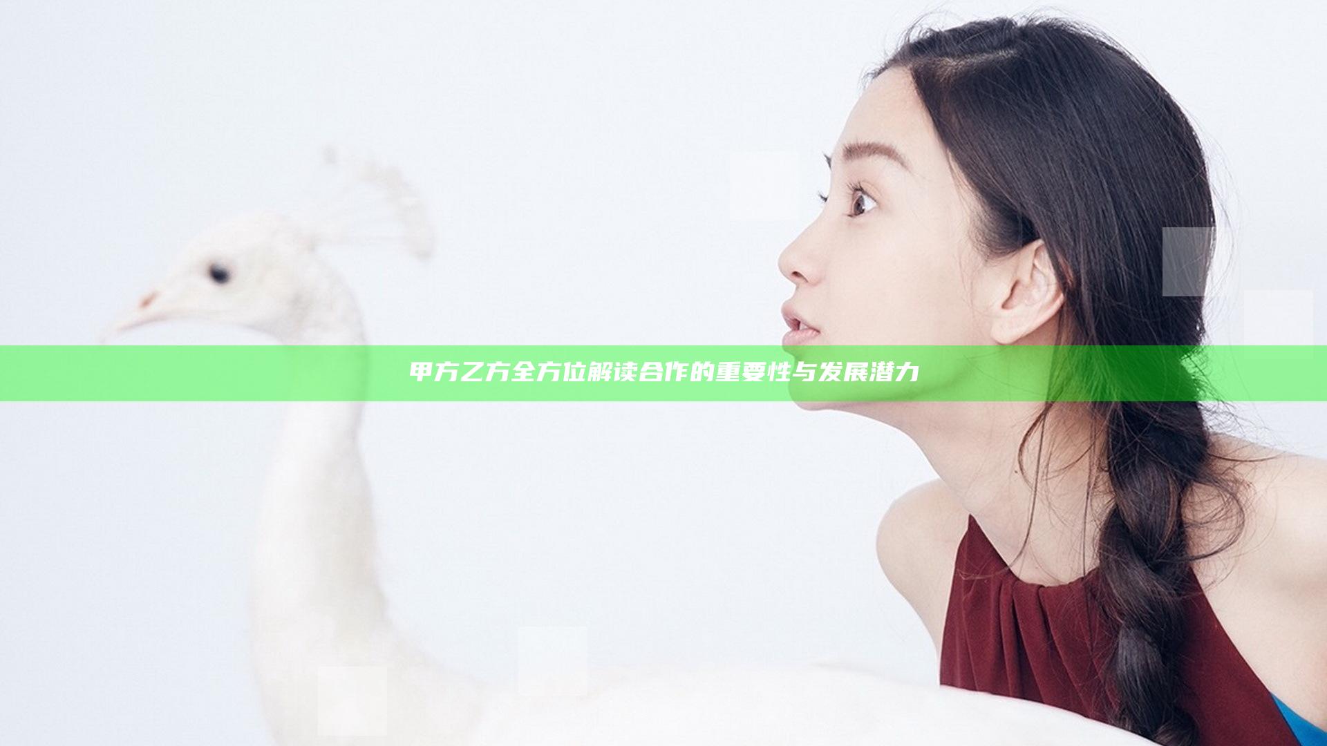 甲方乙方全方位解读合作的重要性与发展潜力