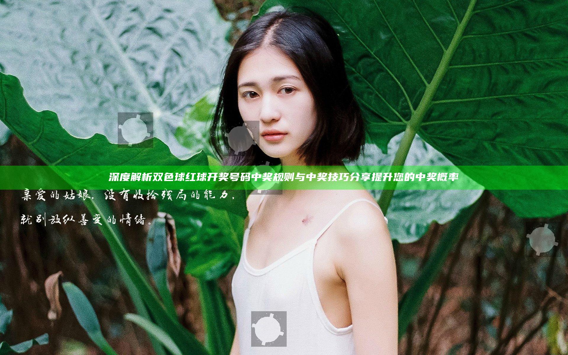 深度解析双色球红球开奖号码中奖规则与中奖技巧分享提升您的中奖概率